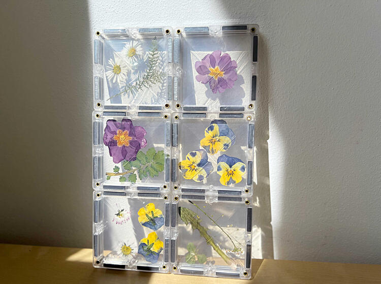 jarní hrátky s magnetickými stavebnicemi - herbář