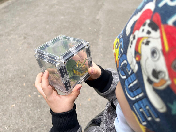 jarní hrátky s magnetickými stavebnicemi - krabička na hmyz