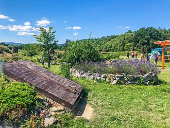 Sušice a okolí - Jedlý park