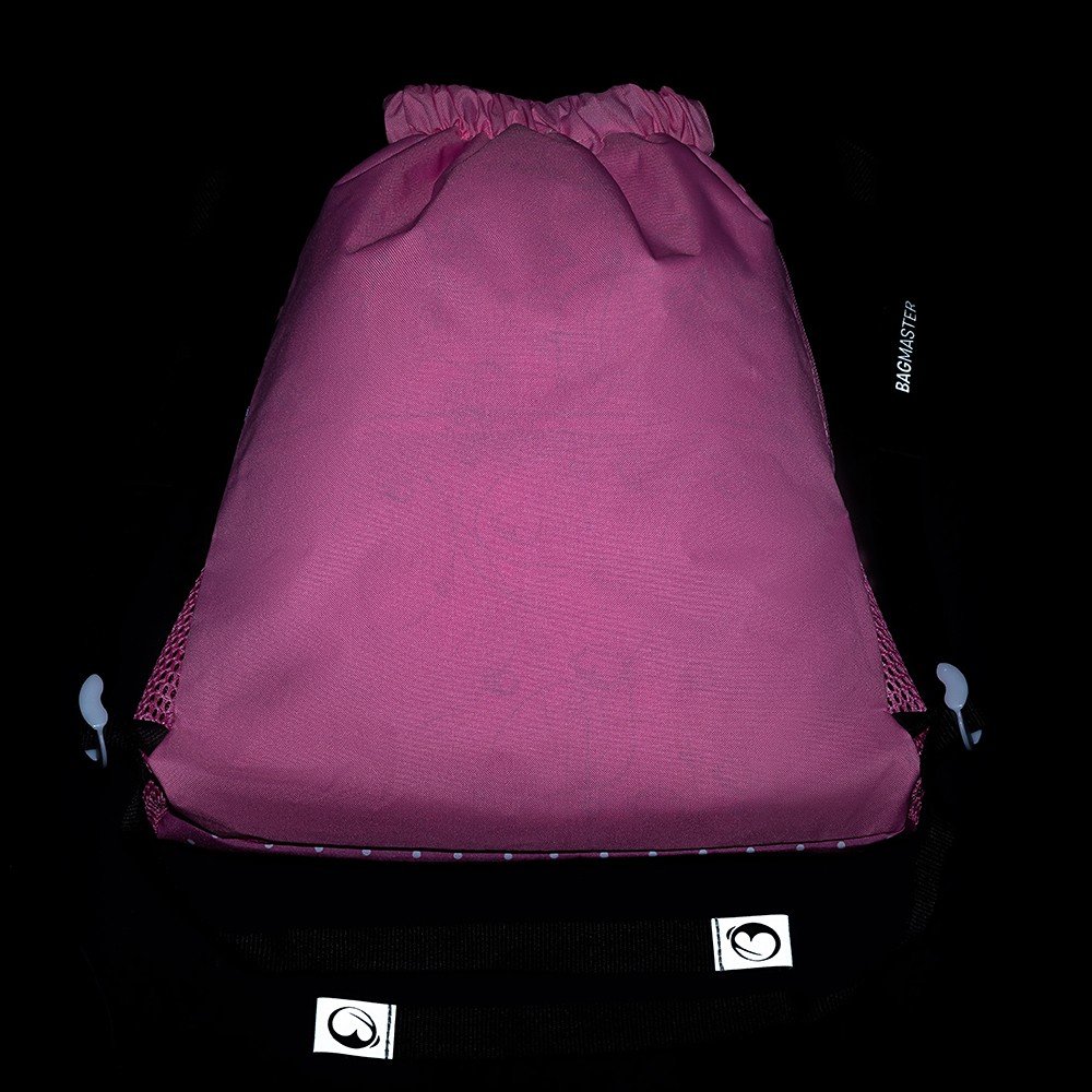 Bagmaster SÁČEK ALFA 21 A školní na přezůvky / tělocvik - pes (obrázek 5)
