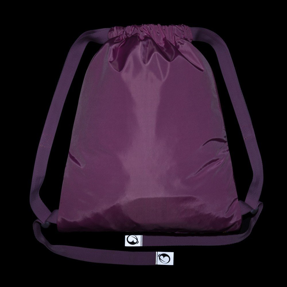 Bagmaster SÁČEK LUMI 24 G školní na přezůvky / tělocvik – pejsek (obrázek 5)