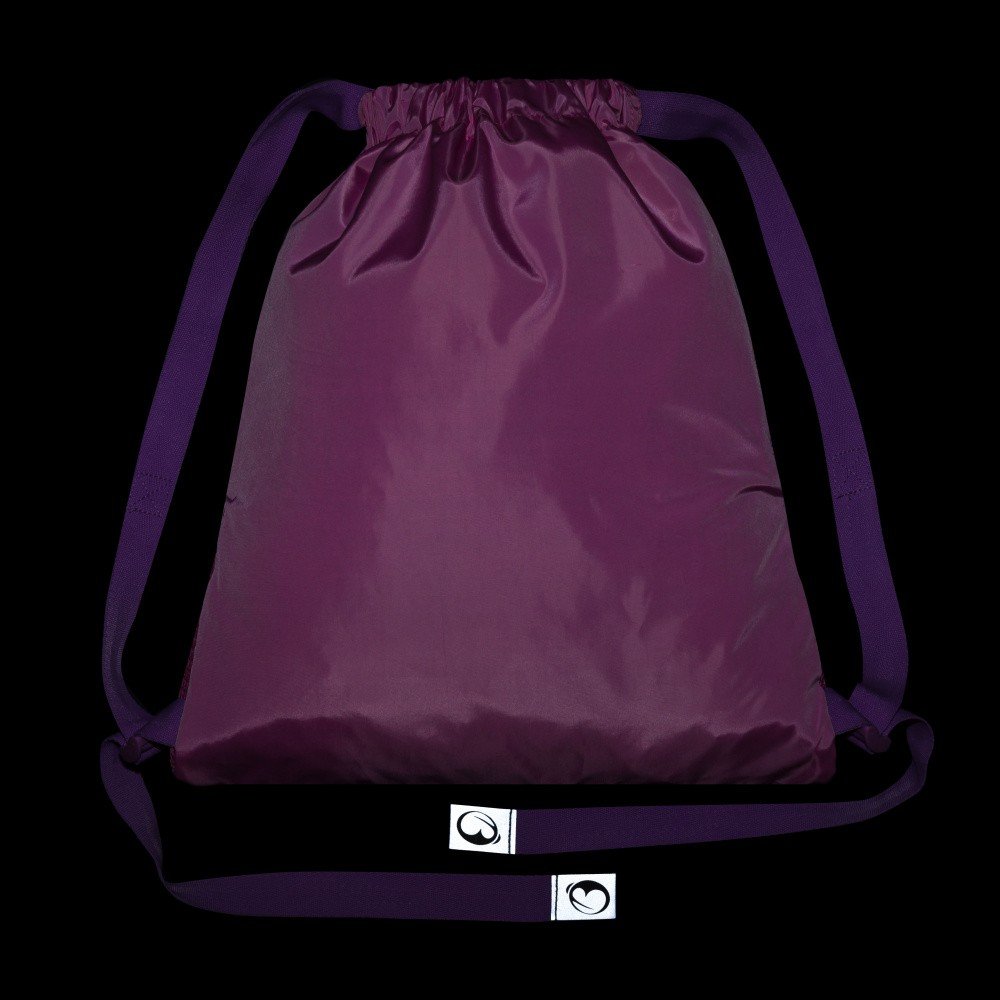 Bagmaster SÁČEK DOPI 24 A školní na přezůvky / tělocvik – koně (obrázek 5)