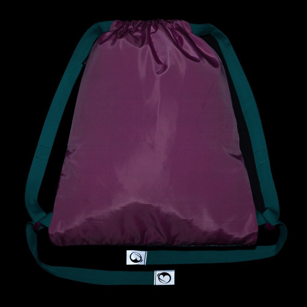 Bagmaster SÁČEK VEGA 24 B školní na přezůvky / tělocvik – páv (obrázek 5)