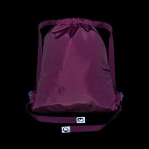 Bagmaster SÁČEK LUMI 26 A školní na přezůvky / tělocvik – pejsek (obrázek 5)